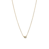 Jeannie - Gold-Tone Petite Chain Freshwater Pearl Keshi Necklace
